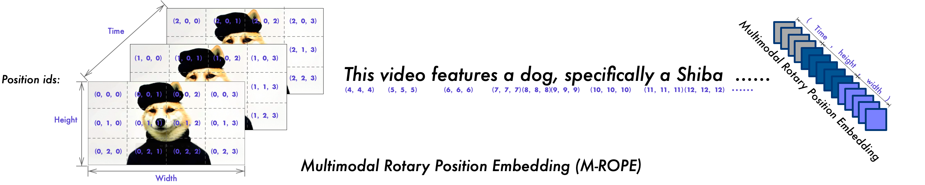 1726627557912_image.png