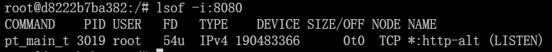 1735790991431_image.png